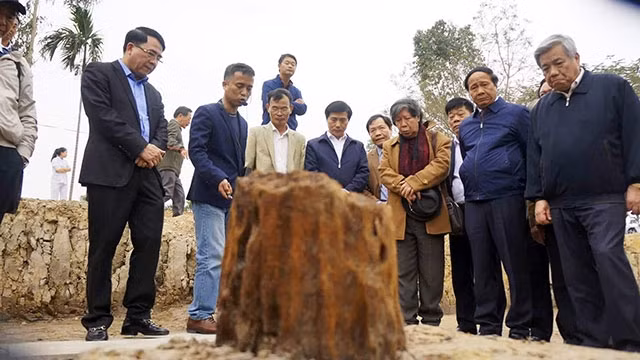 Lãnh đạo TP Hải Phòng cùng các nhà khoa học khảo sát thực địa bãi cọc.