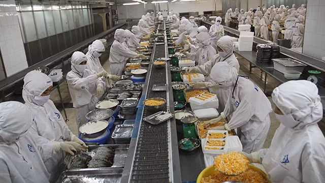 EU cảnh báo thẻ vàng IUU với Việt Nam