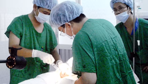 Thực hiện chuyển phôi cho một trường hợp hiếm muộn tại bệnh viện Hùng Vương, TP Hồ Chí Minh.