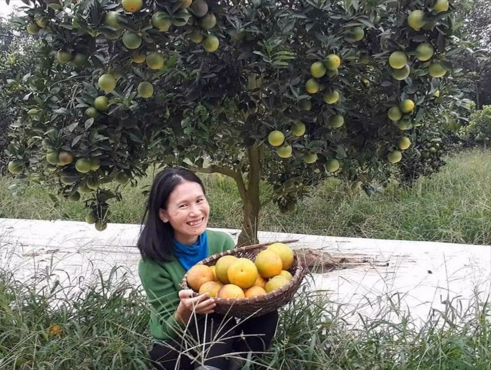 Lê Na là người trồng cây ăn quả đầu tiên của Nghệ An áp dụng thành công mô hình VietGAP.
