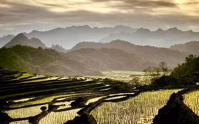 Những cánh ruộng bậc thang tạo nên những cung bậc mềm mại cho cảnh sắc. Ảnh: ĐỖ MỸ LY