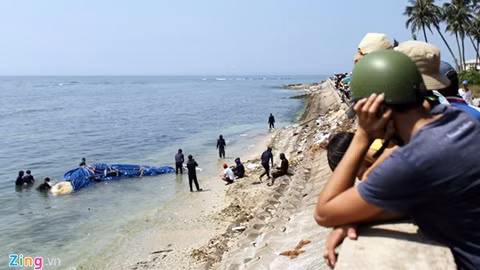 Đưa cá Ông từ Trường Sa về Lý Sơn an táng