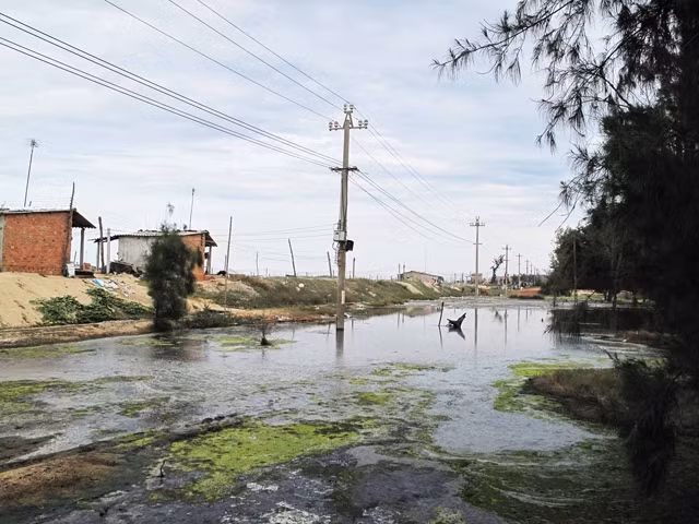 Nuôi tôm ở vùng ven biển xã Đức Phong, huyện Mộ Đức gây ô nhiễm môi trường nghiêm trọng.
