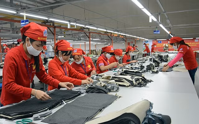 Ảnh minh họa: Duy Linh.