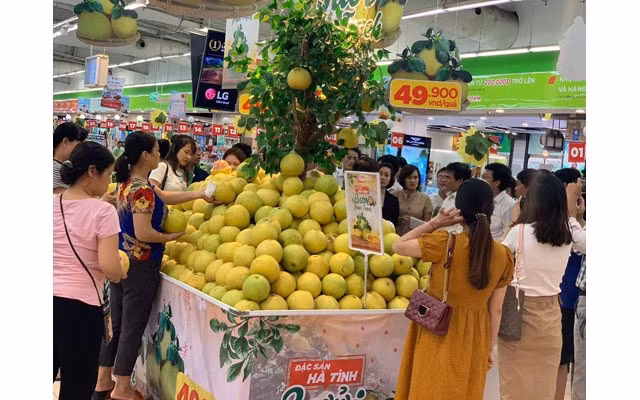 Giới thiệu, quảng bá bưởi Phúc Trạch tại Big C
