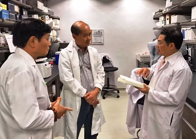 Nhà nghiên cứu y học phương Đông Nguyễn Thái Hà, GS.BS Phan Toàn Thắng và nhà báo Duy Hưng tại phòng thí nghiệm tế bào gốc ở Singapore.