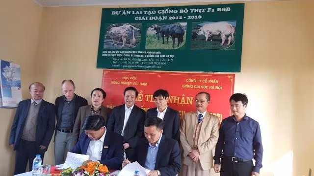 Quang cảnh lễ ký kết tiếp nhận đàn bò đực giống BBB thuần nhập ngoại về nuôi dưỡng, khai thác và phục vụ công tác nghiên cứu, đào tạo tại Hà Nội. 