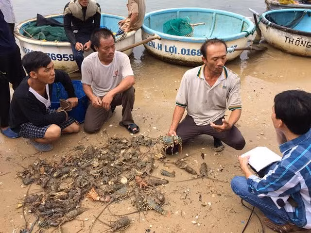 Tôm chết hàng loạt tại thôn Hòa Lợi, xã Xuân cảnh, thị xã Sông Cầu (Phú Yên). 