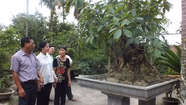 Ảnh minh họa.