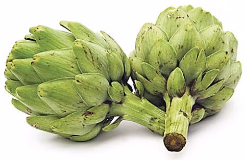 Hoa atisô - Sinh lực bữa giao mùa 