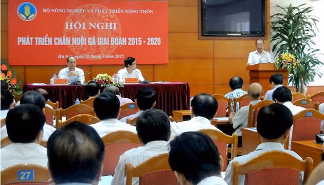 Tăng sức cạnh tranh cho ngành chăn nuôi gà