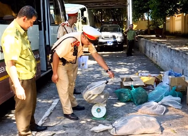Lực lượng CSGT Công an tỉnh Đắk Lắk phối hợp Hạt Kiểm lâm TP Buôn Ma Thuột kiểm đếm số động vật hoang dã vừa bắt giữ.