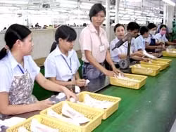 Hoa Kỳ, thị trường tiềm năng cho ngành giày dép Việt Nam