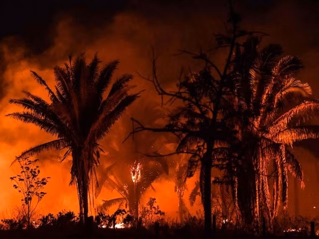 Quang cảnh vụ cháy rừng ở bang Pará, Brazil, vào tháng trước. Đây là môi trường sống duy nhất được biết đến của loài khỉ marmoset mới.