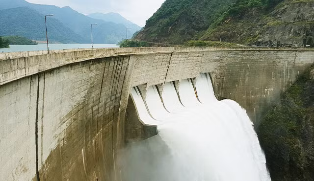 Cấp mã SJG cho Tổng Công ty Sông Đà