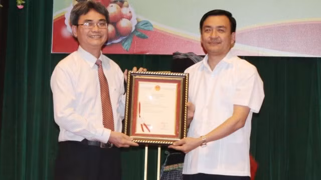 Lãnh đạo Cục Sở hữu Trí tuệ trao giấy chứng nhận đăng ký chỉ dẫn địa lý cho sản phẩm hồng không hạt cho lãnh đạo huyện Quản Bạ