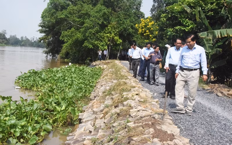 Công trình kè mềm chống sạt lở bờ sông Cần Lố chính thức đưa vào sử dụng.