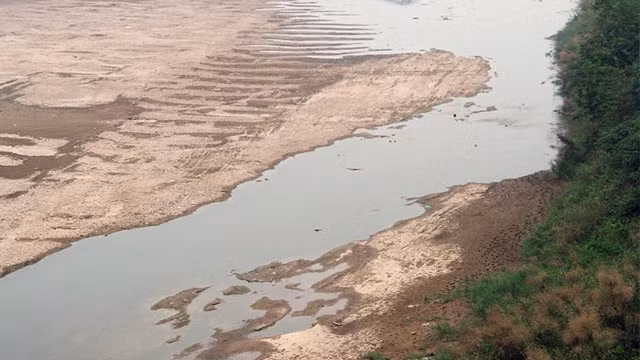 Bãi Soi