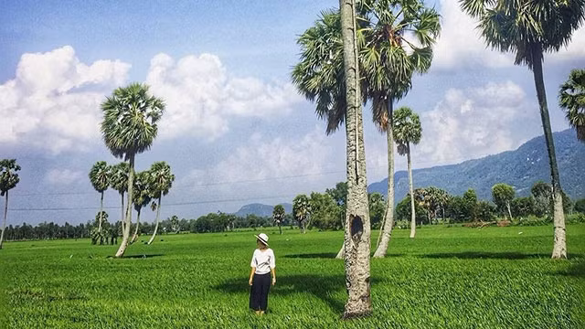 Về miền thốt nốt