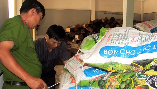 Thanh tra sở NN&PTNT Phú Yên lấy mẫu phân để kiểm tra.