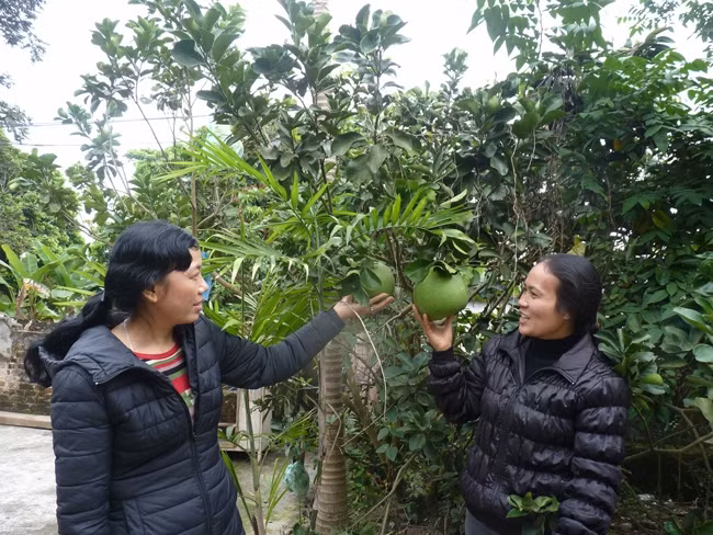 Nương tựa vào nhau, những người phụ nữ kém may mắn này đang cùng tìm lại niềm vui sống cho mình và người thân.