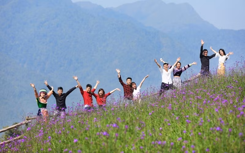 Chiêm ngưỡng hoa đỗ quyên trên đỉnh Hoàng Liên Sơn