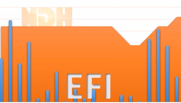 Chuyển quyền sở hữu cổ phiếu EFI