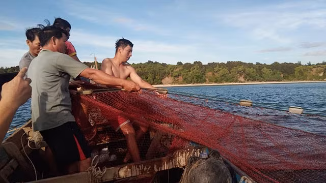 Ngư dân thôn Đông Luật ra khơi “thả lừ”.