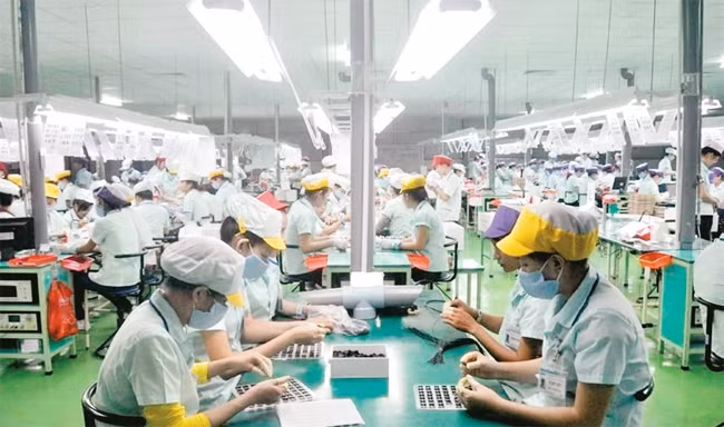 Sản xuất linh kiện điện tử tại Khu công nghệ cao TP Hồ Chí Minh.