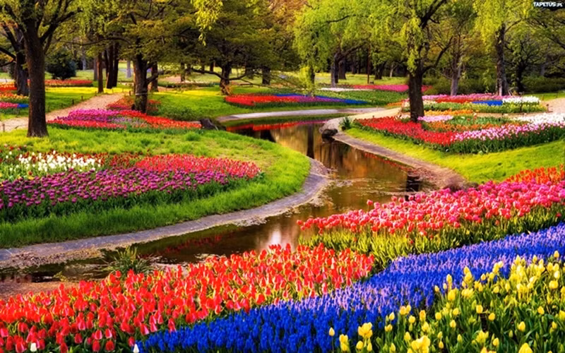 Nằm tại Lisse, một thị trấn nhỏ ở phía nam thủ đô Amsterdam, công viên Keukennhof còn được biết đến là "vườn châu Âu". Đây là vườn hoa lớn nhất thế giới với diện tích khoảng 32 ha và bảy triệu bông ho
