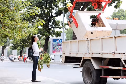 Cảnh trong phim Đập cánh giữa không trung.