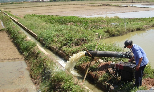 Nông dân xã Diễn Hoàng (Diễn Châu, Nghệ An) bơm nước chống hạn. Ảnh: ANH THƯ