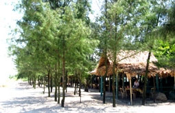 Bãi biển Xuân Thành.