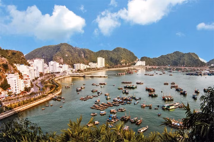 Một góc thị trấn Cát Bà.