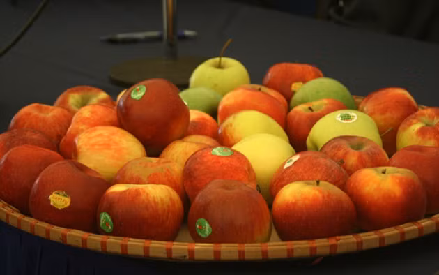  Quảng bá “một góc ẩm thực Pháp”