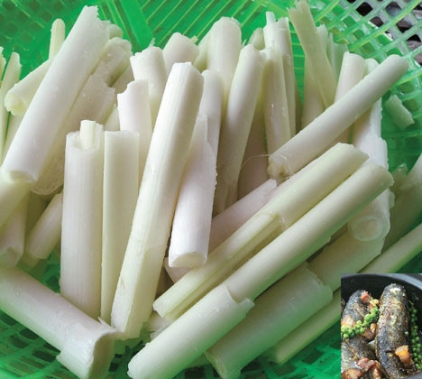 Rau bồn bồn.