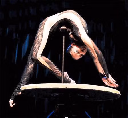 Liên hoan xiếc quốc tế.