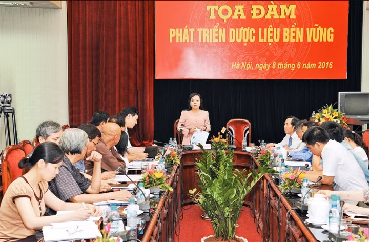 Ảnh: TRẦN HẢI