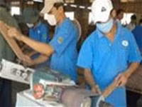 Người sau cai nghiện không những được lao động
mà còn được học văn hóa.