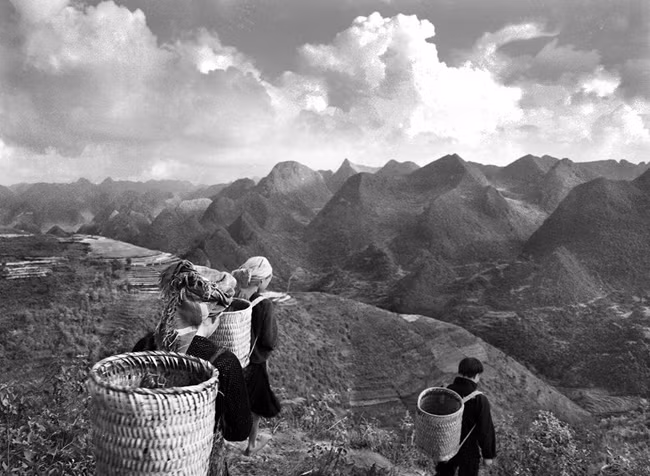 “Không gì tự nhiên, đẹp đẽ bằng chính sự sống đang diễn ra quanh ta…” .