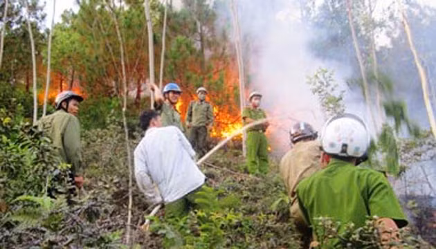 Hiện trường vụ cháy và nỗ lực dập lửa của các lực lượng chức năng.