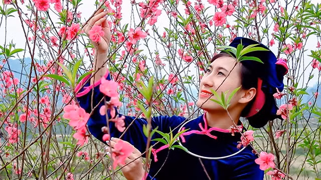 Hình ảnh tại lễ hội hoa đào Lạng Sơn. Nguồn: BÁO LẠNG SƠN