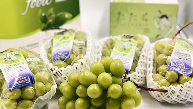 Cơ hội mua hàng Nhật “xịn”
