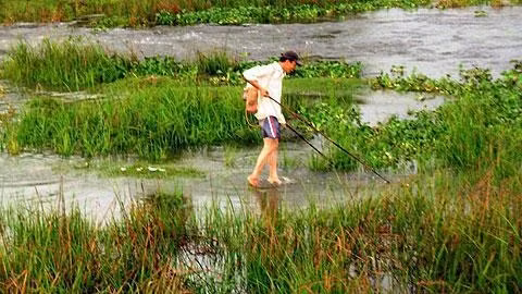 Ruộng bỏ hoang, nông dân Lệ Thủy rỗi việc dùng bộ kích điện... kiếm cá