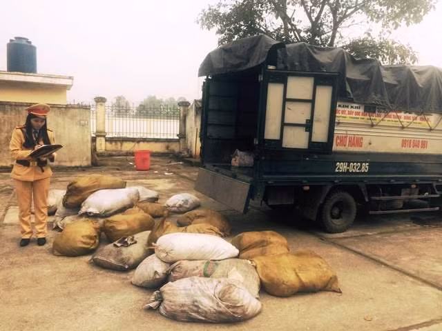 Cảnh sát giao thông kiểm đếm bao bì chứa bì lợn bẩn.