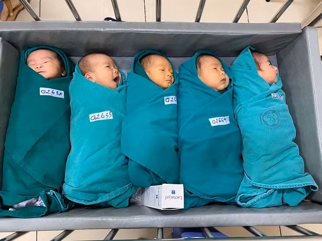 Năm công dân nhí chào đời trong tuần cách ly. 