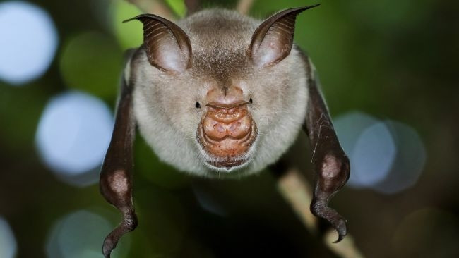 Ảnh: Shutterstock.