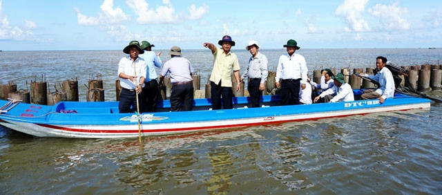 Lãnh đạo tỉnh Cà Mau và các nhà khoa học Bộ NN và PTNT tham quan mô hình kè chống sạt lở ven bờ tây.