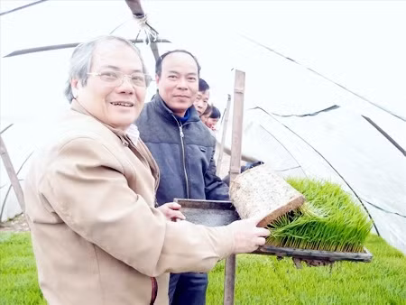 TS Lê Văn Tri thăm một số đơn vị sản xuất mạ khay do Công ty Cổ phần công nghệ sinh học chuyển giao công nghệ.