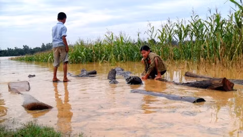 Mùa mưa lũ, phụ huynh cần cấm trẻ em chơi ở gần sông nước.